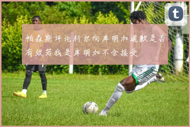 帕森斯评论科尔向库明加道歉是否有效若我是库明加不会接受