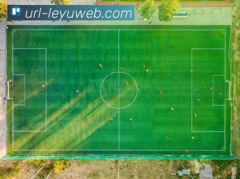 多媒体互动体验