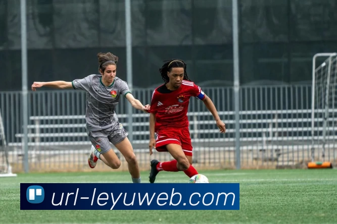 乐鱼体育APP 高清赛事图